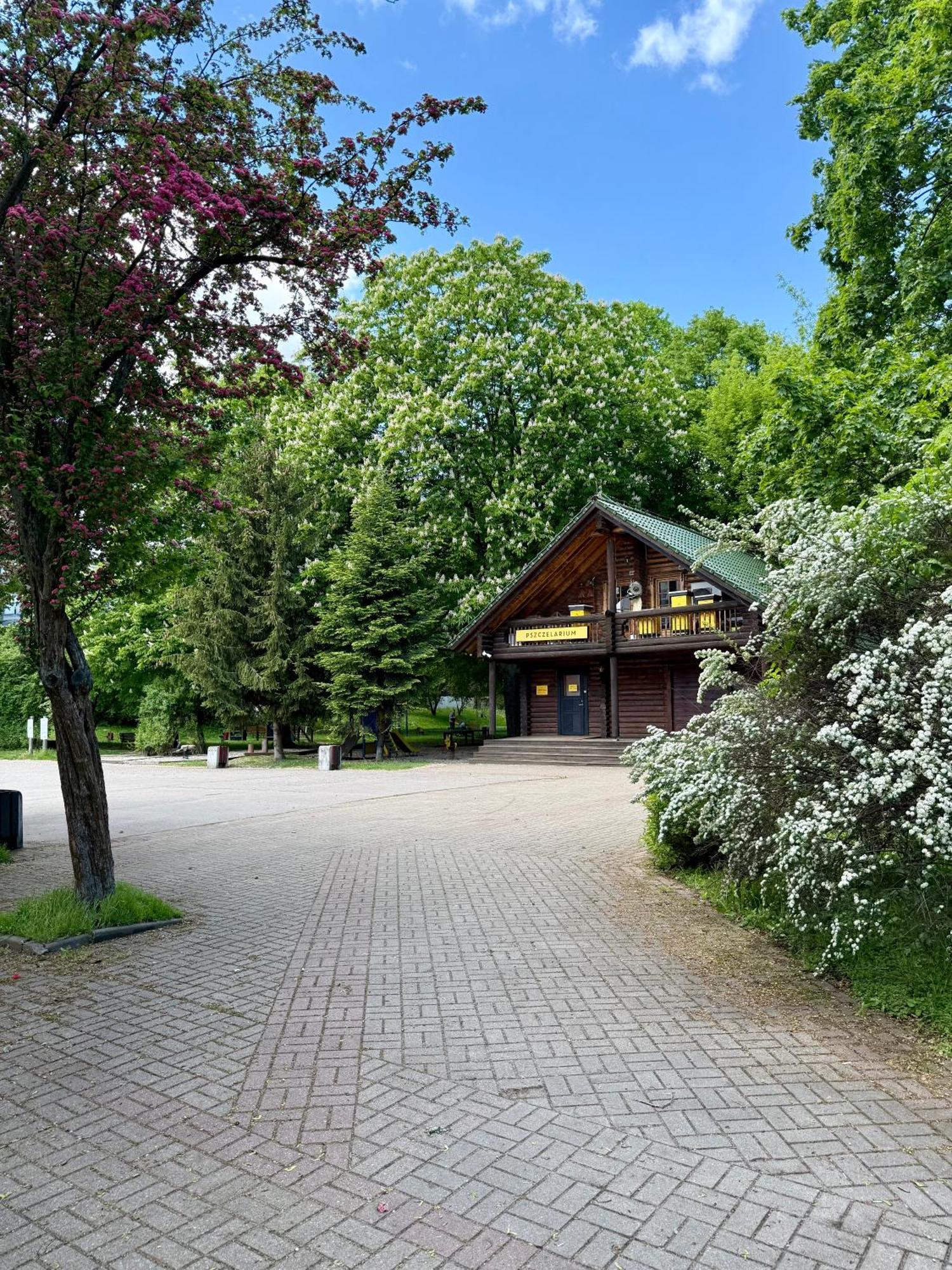 Dolna Apartament *
